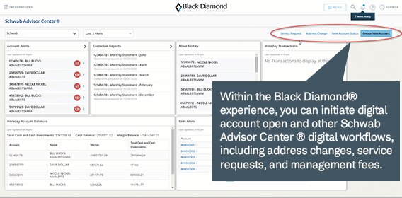 Black Diamond screen