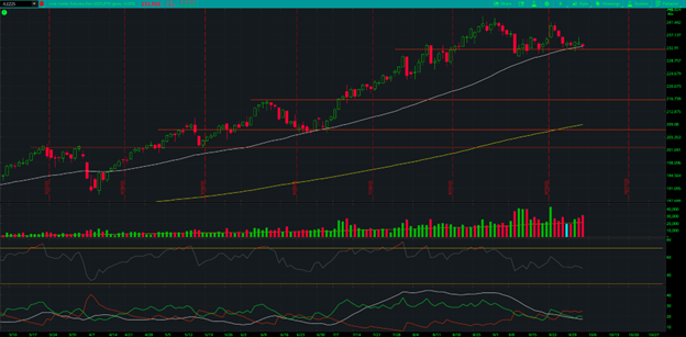 December Live Cattle Futures (/LEZ25) Chart