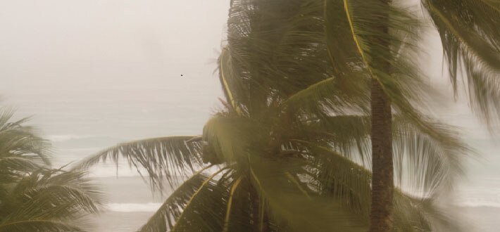 Hurricane Irma