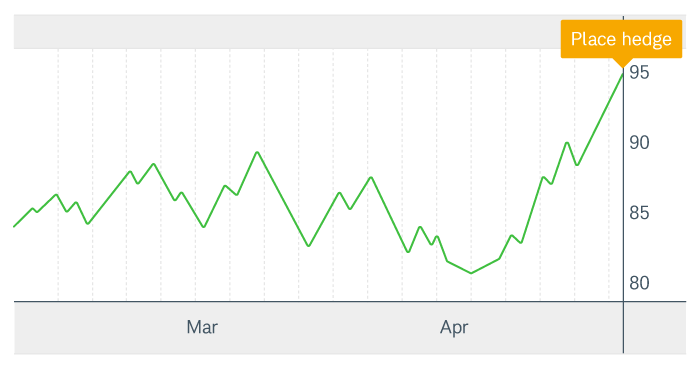  A stock that has risen rapidly, which a trader may want to hedge with an option.