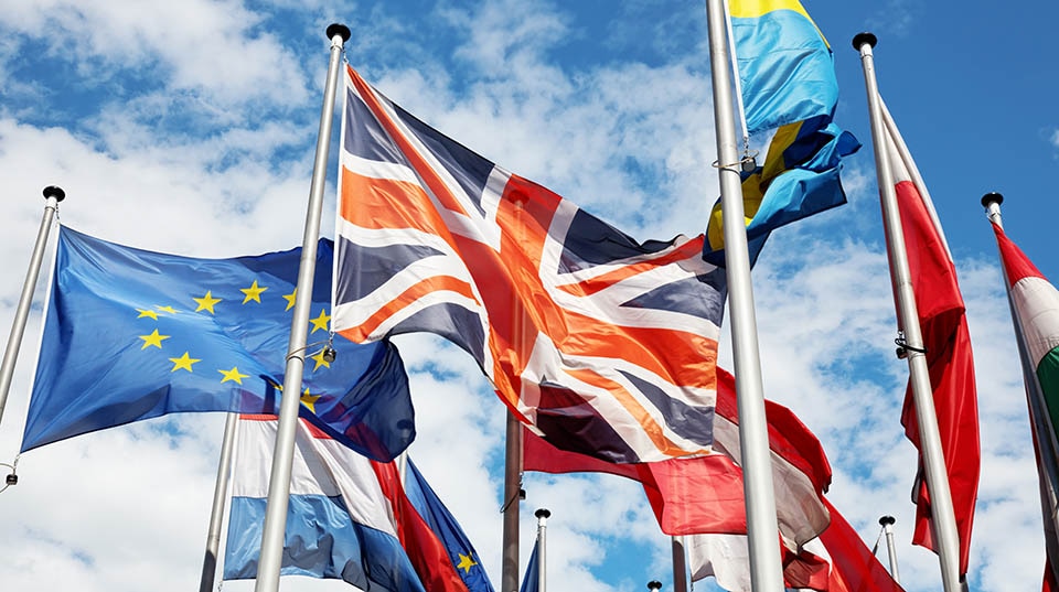 An Investors’ Guide to the 2021 Elections