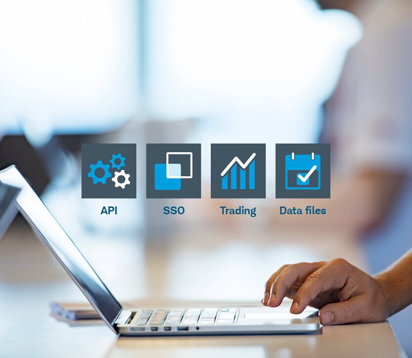 Features image: API, SSO, Trading, Data Files